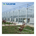 Greenhouses en verre agricole pour tomates